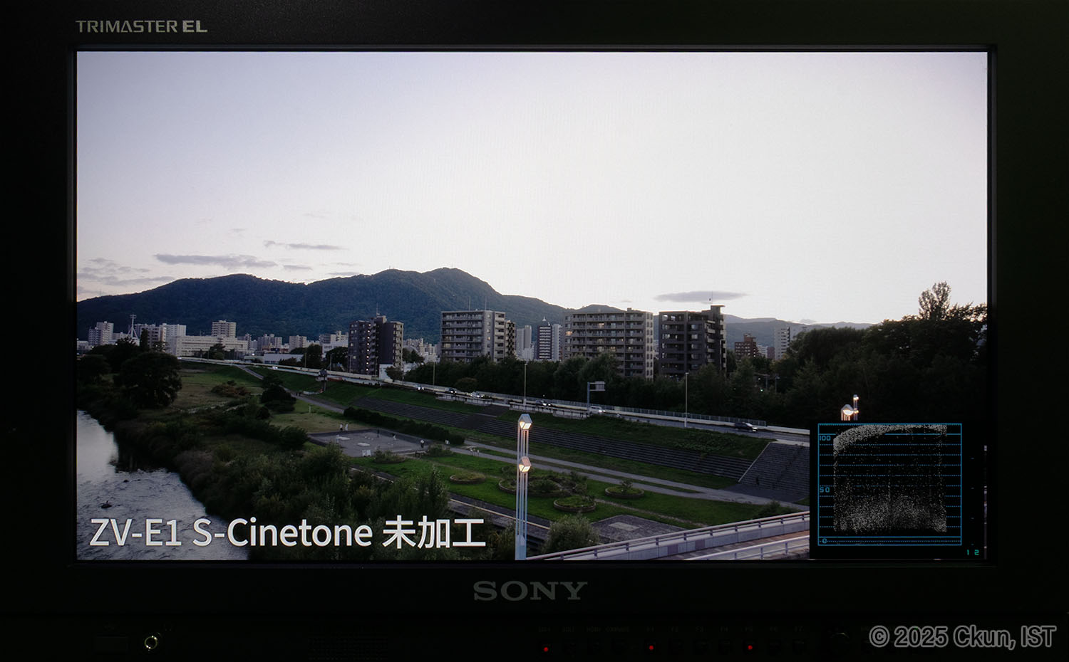 ビデオモニターでの表示例